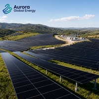 Module solaire monocristallin bifacial 660W, performance stable sous intensité lumineuse variable, projets solaires mixtes sur réseau