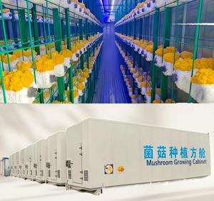 Système de culture de champignons entièrement équipé pour ferme intérieure, conteneur de culture hydroponique, usine végétale verticale, ensemble complet avec pompe - Product Image 6