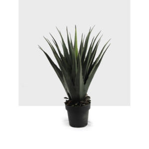 Planta Artificial de <span class=keywords><strong>Agave</strong></span> con Púas de Plástico de 80 cm, para Interiores y Exteriores, 26 Hojas, 10 Años de Duración, Ecológica, Pequeña, para Suelo - Product Image 1