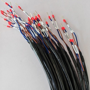 Harness Kabel RVV Multi-core Kustom PTFE/Nylon untuk Penggunaan Komputer Sepeda Motor dan Mobil - Kabel Elektronik Buatan Pabrik - Product Image 2