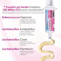 Pâte Probiotique Soin Santé Animaux 30ml/tube pour Chiens & Chats - Supplément à Action Rapide à l'Huile de Poisson pour la Digestion & la Santé Intestinale pour Toutes Races