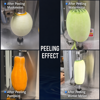 Commerciële multifunctionele schilmachine, automatische elektrische fruit- en groenteschiller voor ananas, pompoen, wintermeloen, industrieel gebruik.