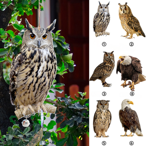 Répulsif à oiseaux double face en acrylique Magicatch, pendentif hibou, imperméable et résistant aux intempéries, ornement suspendu pour ferme, jardin, extérieur - Product Image 6