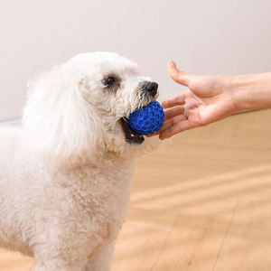 Professional Classic Indestructible Rubber <strong>Tennis</strong> <strong>Ball</strong> <strong>Toy</strong> for <strong>Dogs</strong>-Interactive Squeak Bite Chewing Anxiety Relief Blue/Orange - Product Image 5