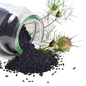 Aceite de Semillas de Hierba Negra 100% Puro, Natural y Orgánico, Ideal para el Cuidado de la Piel - Product Image 3