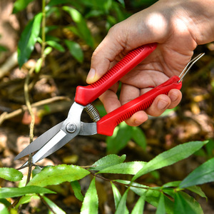 Stainless Steel Pruning Shears Set Red Plastic Handle Bypass Design For Fruit Trees And Bonsai Orchards - Product Image 3