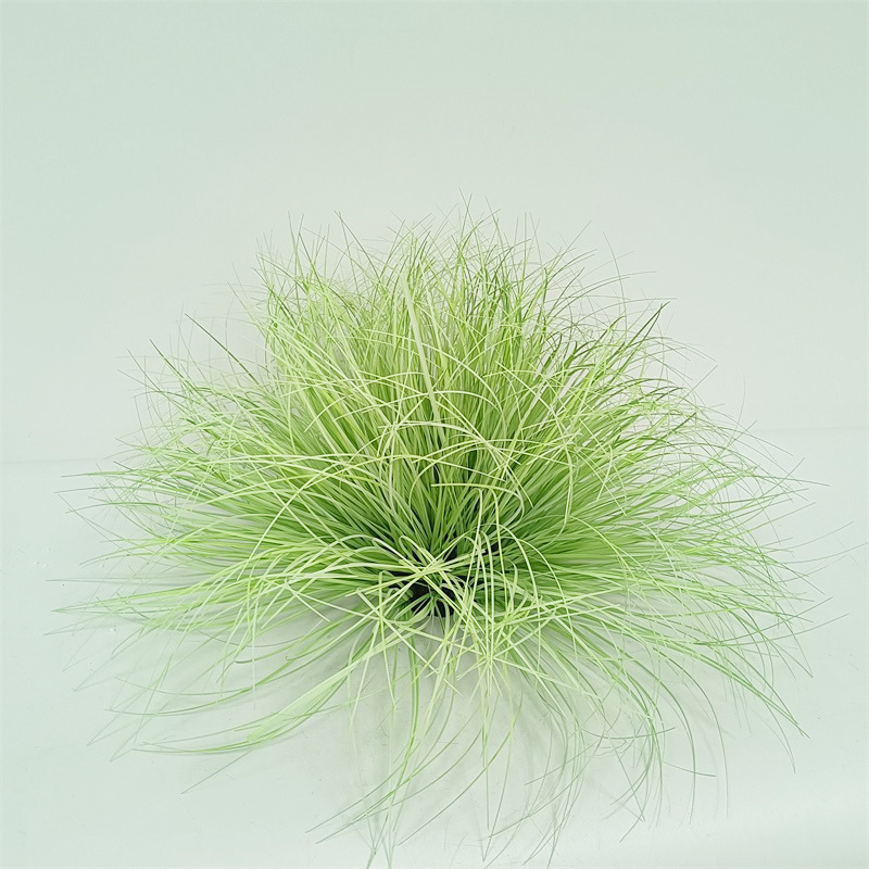 55cm natural curved light green haystack