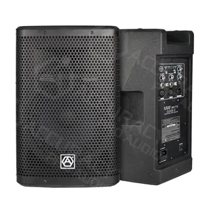 Accuracy Pro Audio CAO10D6-2K 10 inch loudspeaker 500W power dj party class D amplifier active sound speaker box