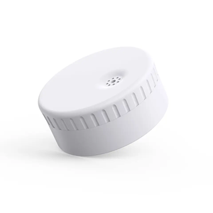 Balise de température et d'humidité BLE avec stockage d'enregistrement étanche IP67 et 40,000 - Product Image 4