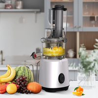 Kleine Keukenapparatuur Professionele Multifunctionele Granaatappel Automatische Tarwegras Vijzel Slowjuicer Machine