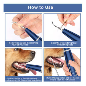 Ultrasonik diş ölçekleyici yedek kafaları köpek Pet ev kullanımı diş beyazlatma cihazları Tartar matematik temizleyici Pet ev tarafından - Product Image 2