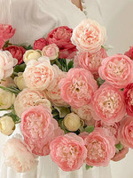 Bunga Keramik Buatan Gaya Krem Dapat Dicuci Elegan Peony Rangkaian Bunga Mewah untuk Ruang Tamu Meja Makan