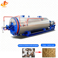 Ligne de production de farine de plumes, équipement de poudre de plumes hydrolysée, fabricant de machines à farine de sang