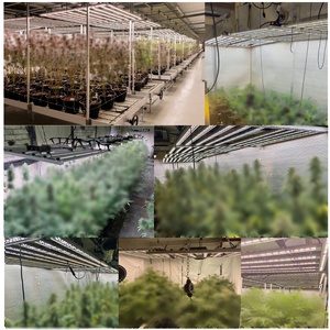 Đèn trồng cây LED 1000W Samsung LM301H Evo Mint 4 mặt 3 kênh cân bằng PPFD UVIR quang phổ đầy đủ đèn trồng cây thương mại LED - Product Image 4