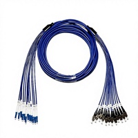 Câble de raccordement en fibre optique blindé anti-rongeurs 10G à 12 fibres monomode, salle informatique, cybercafé, fibre de queue