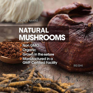 Supplément complexe de champignons végétaliens OEM d'usine 500MG Queue de dinde Reishi Cordyceps Chaga Maitake Shiitake Lions Mane Capsules - Product Image 5