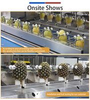 Keniaanse fruitverwerkingslijn 1-3t/u mango-ananas schillen, ontpitten en snijden voor plantageverwerking, Chinese fabrikant