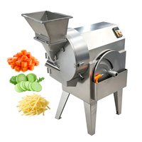 RVS 220V Elektrische Hoge Snelheid Groente Snijder/Snijmachine voor Efficiënt Restaurantgebruik