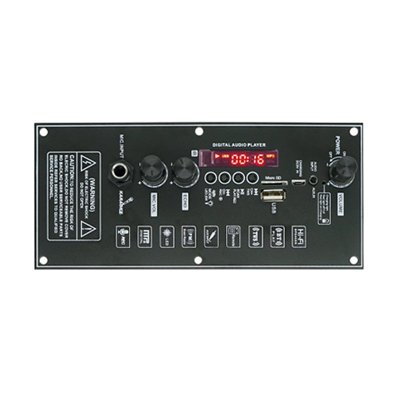 Manufacturer Dual Microphone Home Karaoke Audio