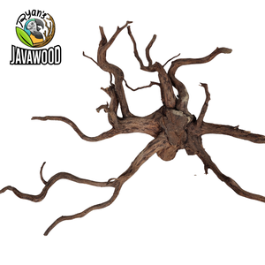 Bois décoratif en forme d'araignée naturel pour accessoires de décoration aqua scape altingia excelsa d'indonie - Product Image 2