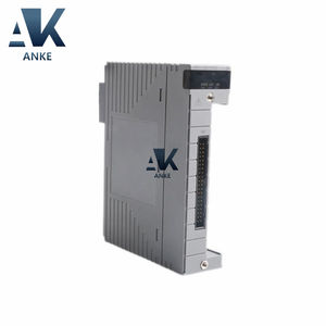 Módulo de entrada analógica S1 Yokogawa de 1/2" - Product Image 3