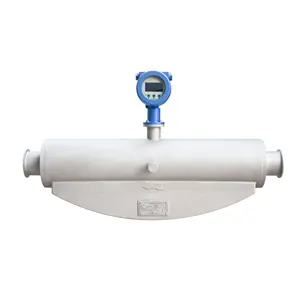 Compressed air Coriolis thermal mass flow meter for gas