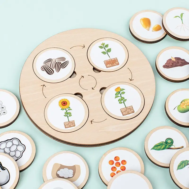 Life Cycle Board Montessori Kit Biology Science Education Toys For Kids Sensory Tray Animal Figure Life Cycle Sorting Wooden Toy