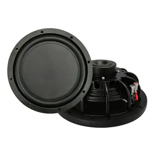 SUB-10S 10 pouces Voiture Audio Subwoofer 800W MAX NEO Aimant Puissance Peu Profonde Woofer