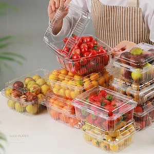 High Quality Disposable Plastic Food Container Vegetable Packaging Container Clamshell Food Container OEM