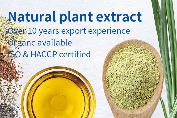 Estratto Di Cistanche Tubulosa (Estratto Di Succiamele Del - Foto 12