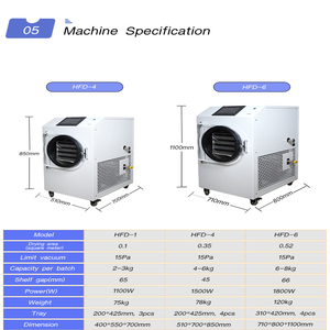 Máquina Popular de Liofilización de Alimentos Pequeños con PLC y Bomba de Vacío de Motor 110V/220V para Secado de Dulces, Vegetales, Frutas y Café - Product Image 6