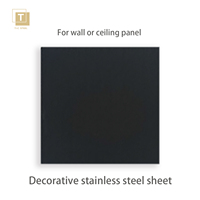 Panneau mural en acier inoxydable 201 304 316L brossé PVD titane noir HL202 pour la décoration de villa