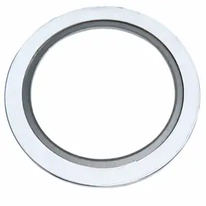 O anel interno e externo de aço inoxidável 304, junta de ferida de metal ptfe para tubo de vapor de gás líquido