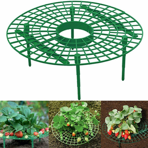 <span class=keywords><strong>Support</strong></span> de fraise <span class=keywords><strong>support</strong></span> de cadre balcon <span class=keywords><strong>support</strong></span> de plantation <span class=keywords><strong>support</strong></span> de fruits plante fleur escalade vigne pilier <span class=keywords><strong>support</strong></span> de jardinage - Product Image 2
