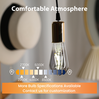 Commande en gros Remise Petite taille ST14 Ampoule à filament LED Edison en verre transparent 2W E26 110V Dimmable No Flicker Ampoule à filament LED