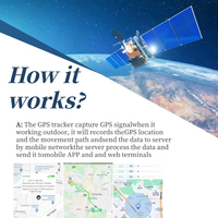 Suivi du bétail par technologie GPS et GLONASS Lorawan pour la surveillance du bétail, pour les moutons, les bovins, les chameaux, les chevaux, directement de l'usine