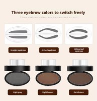 Kit de modelage des sourcils à marque privée : tampon poudre facile et rapide pour des sourcils parfaits