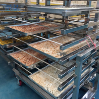 Secador de vacío YZG/FZG para alimentos de frutas GMP de baja temperatura