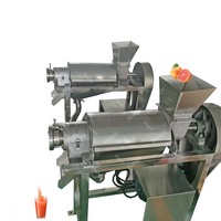 Commerciële Schroef Type Koude Pers Appelpeer Sinaasappel Citroen Gember Calamansi Ananas Fruit & Groente Juicer Machine