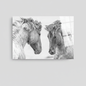 Impression sur toile élégante de deux chevaux : Décoration d'intérieur sur le thème de l'art animalier, ART SUR VERRE TÉRMÉTRAL - Product Image 2