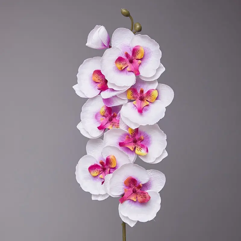 Venta al por mayor planta de Orquídea blanca artificial 8 cabezas Phalaenopsis roja árbol de Orquídea artificial Flor de seda para decoración de maceta de jarrón