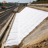 Géotextile en filament non tissé WSL 300g 400g 500g pour le projet de filtration des fonds de voies ferrées et la protection routière contre la contamination