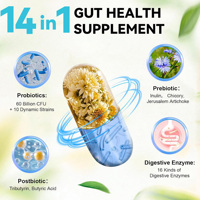 OEM 4 en 1 Probiotique pour la Santé Intestinale, CFU Pro Pre Post Biotique, Enzyme Digestive, Capsule Quotidienne pour l'Équilibre de la Microécologie Intestinale