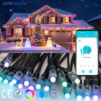 Beamy DC12V 24V Luces LED de Cadena de Puntos de Píxeles RGB a Todo Color con Control Inteligente para Iluminación de Fachadas de Edificios en Exteriores, Decoración Navideña
