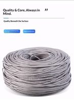 Câble réseau CAT5 double blindage 100m en PVC, cuivre sans oxygène, paire torsadée à huit conducteurs, pour surveillance domestique et connexion haut débit