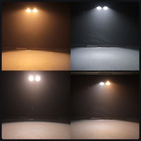 RuiEn 200W Blanc Blanc Chaud Couleur 3in1 Disco Stage Light 2-Eye COB Blinder Light avec Contrôle DMX Fill Effect Stage Lighting