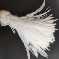 Plumes de queue de coq blanches pures, plumes de coq en vrac, plumes naturelles pour fêtes, carnavals, vêtements DIY et accessoires vestimentaires