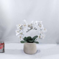 Orchidée Phalaenopsis artificielle hautement réaliste en pot en PE, toucher naturel, faite à la main, décoration moderne pour la maison