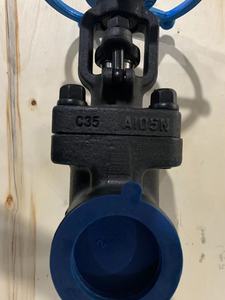 2 นิ้ว X ANSI 300 #   เกลียวประตูเหล็กชนิดเกลียวใน DN50 A105 เหล็กกล้าคาร์บอน - Product Image 2