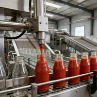 Productielijn voor kleine en middelgrote tomatensaus, Long Kun Source Factory, complete set Macken tomatenverwerkingsapparatuur